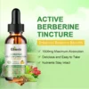 GLOWVIX Berberine Liquid Supplement with Ceylon Cinnamon Berberine Drops 26 GLOWVIX Berberine Liquid Supplement with Ceylon Cinnamon Berberine Drops