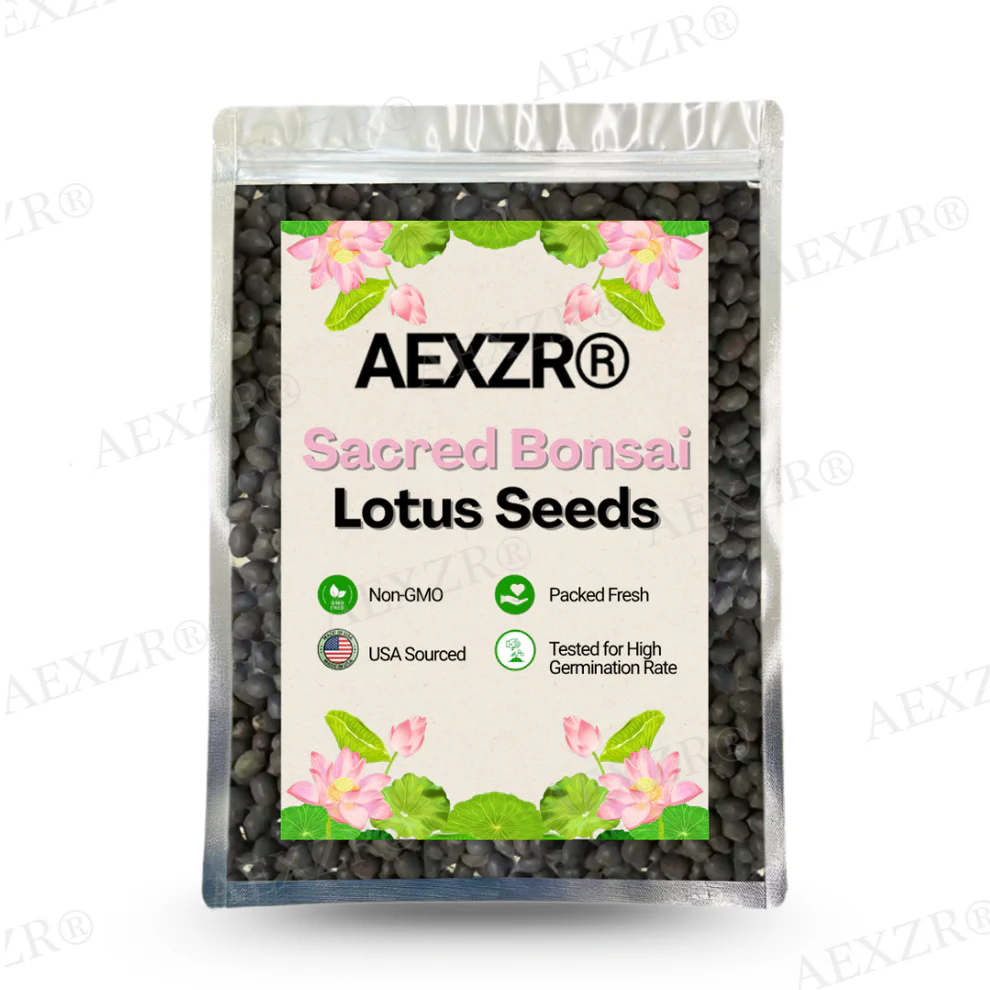 AEXZR® Sacred Bonsai Lotus Seeds 1 AEXZR® Sacred Bonsai Lotus Seeds