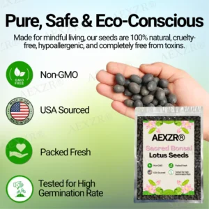 AEXZR® Sacred Bonsai Lotus Seeds 9 AEXZR® Sacred Bonsai Lotus Seeds
