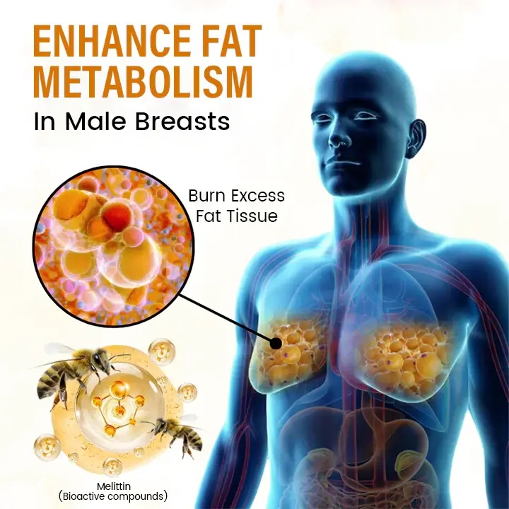 Timilk® VenomDefine Bee Venom Gynecomastia Oil 7 Timilk® VenomDefine Bee Venom Gynecomastia Oil