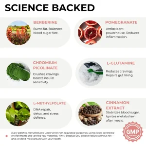 Calcie GLP-1 Patches 10 Calcie GLP-1 Patches