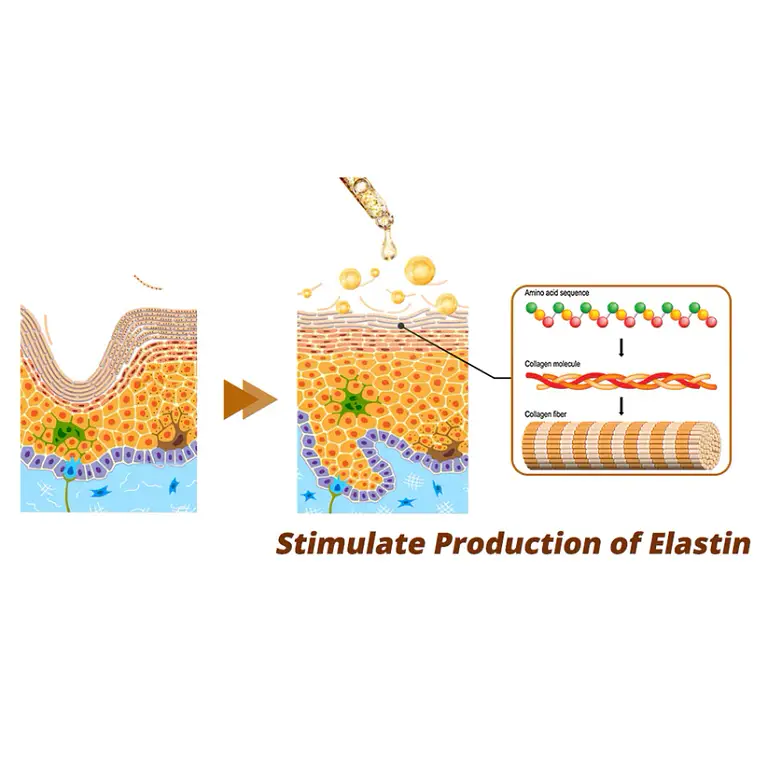 Newyuo™ Cordyceps Firming Repair Serum 2 Newyuo™ Cordyceps Firming Repair Serum