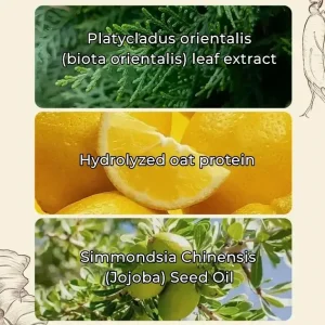 LOVILDS™ Ginseng Ginger Anti-Hair Loss Shampoo 300ml 11 LOVILDS™ Ginseng Ginger Anti-Hair Loss Shampoo 300ml