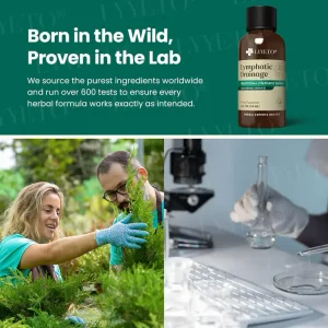 Lyyeto® Lymphatic Drainage with Liquid Herbal Extract