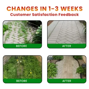 LIMETOW® Cyclosinone Herbicide Granules 19 LIMETOW® Cyclosinone Herbicide Granules