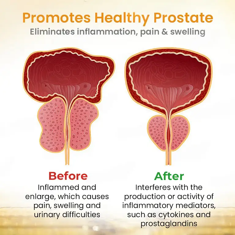 LOVILDS™ Bee Detox Prostate Care Patch 5 LOVILDS™ Bee Detox Prostate Care Patch