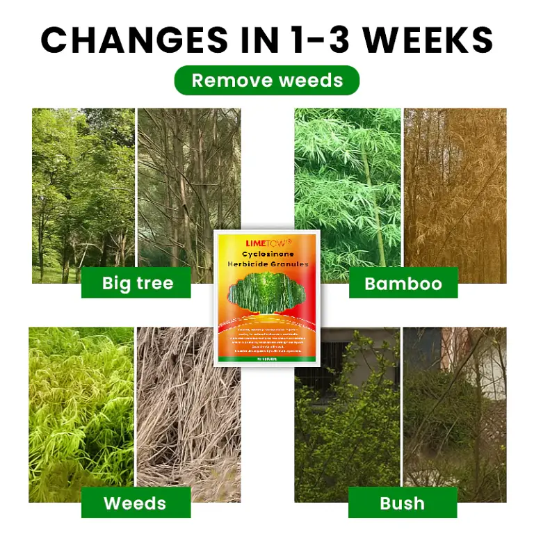 LIMETOW® Cyclosinone Herbicide Granules 7 LIMETOW® Cyclosinone Herbicide Granules