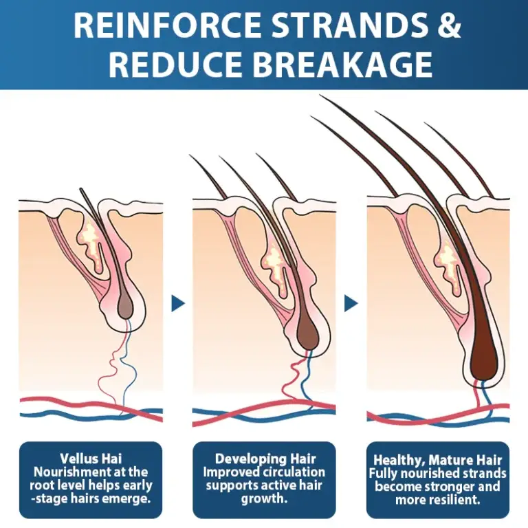 Rolimey®️ Stem Cell Hair Cycle Roller 4 Rolimey®️ Stem Cell Hair Cycle Roller