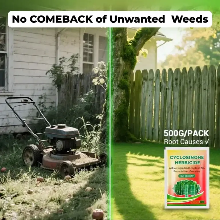 Cyclosinone Herbicide Granules 500gm 2 Cyclosinone Herbicide Granules 500gm