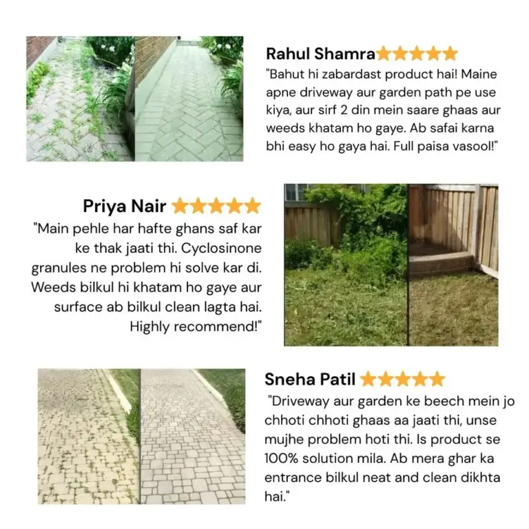 Cyclosinone Herbicide Granules 500gm 4 Cyclosinone Herbicide Granules 500gm