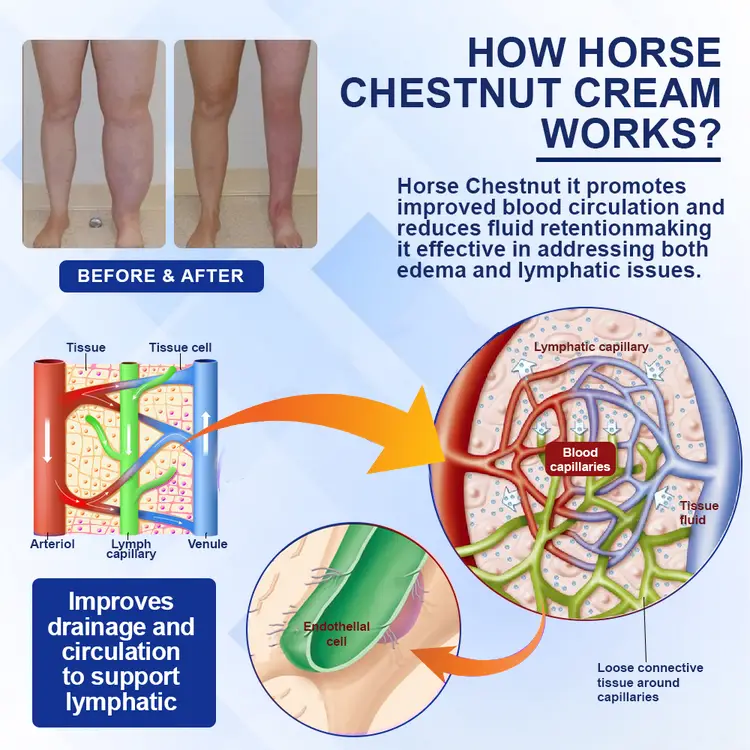 Elycura™ Lymphatic Drainage Massage Cream 3 Elycura™ Lymphatic Drainage Massage Cream